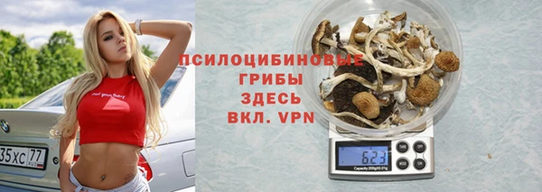 гидропоника Корсаков