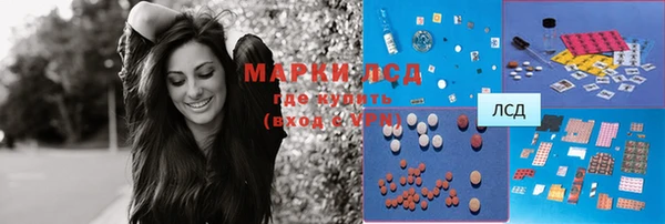 PSILOCYBIN Козельск