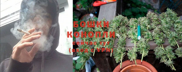 PSILOCYBIN Козельск