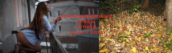 синтетический гашиш Козловка