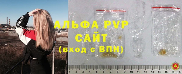 стаф Коряжма