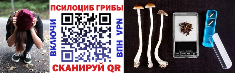 Галлюциногенные грибы Magic Shrooms Пикалёво
